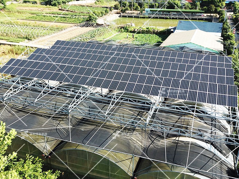 湖北bti体育绿色能源有限公司