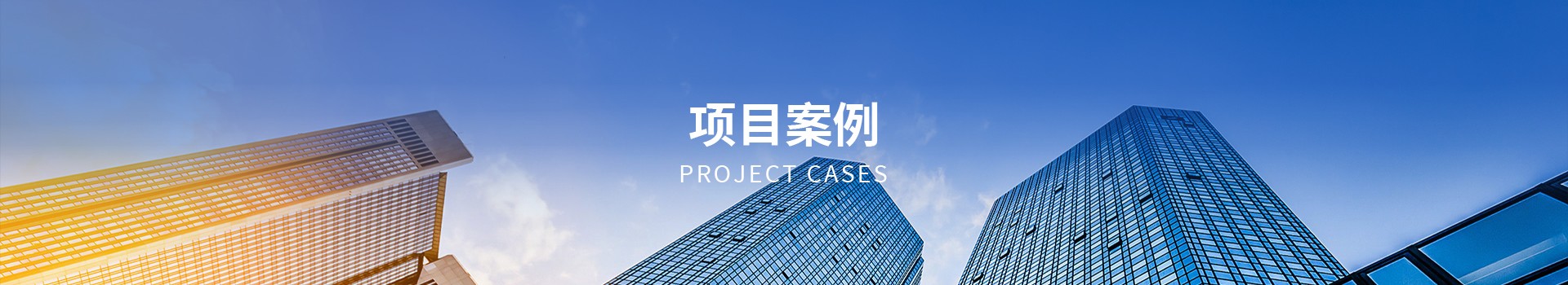 项目案例